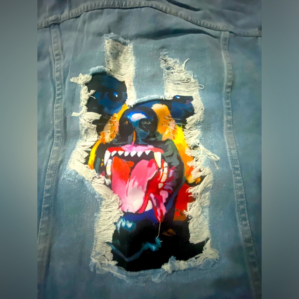 Brand new jean jacket from Akira.